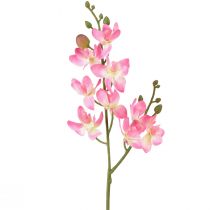 Liten Orkidé Phalaenopsis Kunstig Blomst Rosa 30cm