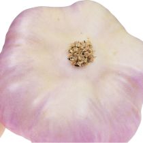 gjenstander Kunstige grønnsaker dekorasjon hvitløksrosa, hvit Ø6,5cm 2 stk