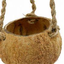 gjenstander Hengende kokosbolle, naturlig planteskål, hengende kurv Ø8cm L55cm