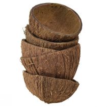 Kokosbolle dekorasjon naturlige halve kokosnøtter Ø7-9cm 5stk