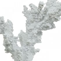 Maritim dekor korallhvit kunstig dekorstativ 11×12cm