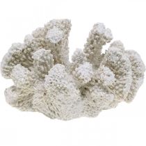 Maritim dekorasjon korallhvit kunstig polyresin liten 13,5x12 cm