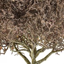 gjenstander Korallgren Frostete kunstige planter Vinterdekorasjon Ø23cm