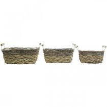 gjenstander Plantekurv med håndtak, firkantet kurvskål, naturlig plantekasse for planting shabby chic vasket hvit L30/25,5/21 cm H12/11/10 cm sett med 3