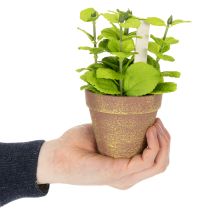 gjenstander Kunstig urtepotte med dekorative urter til kjøkken, hage, balkong eller terrasse, 15m³, 3 stk.