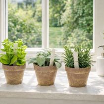 gjenstander Kunstig urtepotte med dekorative urter til kjøkken, hage, balkong eller terrasse, 15m³, 3 stk.