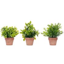 gjenstander Kunstig plante i blomsterpotte med realistisk tekstur for innendørs bruk og dekorasjon, 18 cm, 3 stk.