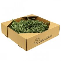 gjenstander Julekransdekorasjon grønn tørket blomsterkrans dørkrans lin urt festlig Ø34cm