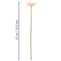 gjenstander Kunstige Gerberablomster Aprikos 47cm 6 stk
