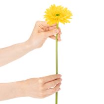 gjenstander Kunstige gerberablomster, solgule, hageblomst, 47 cm, 6 stk.