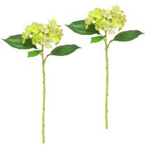 gjenstander Kunstige Hortensia Grønne Blomster Blader L43cm 2stk