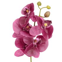 gjenstander Kunstige orkideer lilla kunstige blomster som ekte 56cm 3 stk