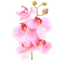 gjenstander Kunstige Orkideer Rosa Kunstige Blomster Som Ekte 56cm 3 Stk