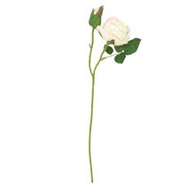 gjenstander Kunstige Roser Kunstige Blomster Bunch Cream 36cm 12stk