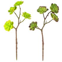 gjenstander Kunstige sukkulenter med stilk grønn lilla assortert 32cm 2stk