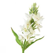 Kunstig blomstermelkstjerne hvit 50cm