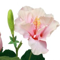 gjenstander Kunstige blomster Hibiscus Rosa 62cm