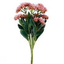 gjenstander Kunstig Fat Høne Sedum Stonecrop blomstrende rosa 47cm 3stk