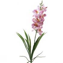 Kunstig Orkide Rosa Hvit Kunstig Blomsterorkide 73cm