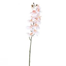 gjenstander Kunstig orkidé Rosa Phalaenopsis Real Touch 58cm