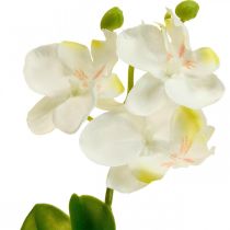 Kunstige orkideer Kunstig blomsterorkide hvit 20cm