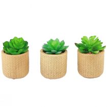 gjenstander Kunstige sukkulenter i potte Kunstige planter Assortert 10cm 3stk