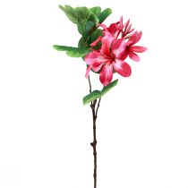 gjenstander Kunstig orkidegren Bauhinia Rosa kunstplante 62cm