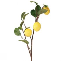 gjenstander Kunstig sitrongren dekorativ gren med 3 gule sitroner 65cm