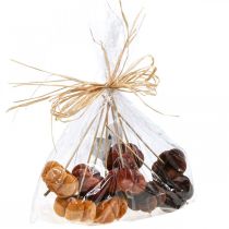 gjenstander Deco gresskar dekorasjonsplugg oransje, brun myk Ø6,5m 9 stk