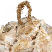 gjenstander Dekorative ballsnegleskall skjelldekorasjon hengende naturlig Ø12cm