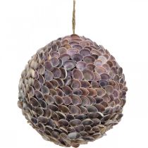 Deco ballskjell skallball stor Maritim dekorasjon Ø25cm