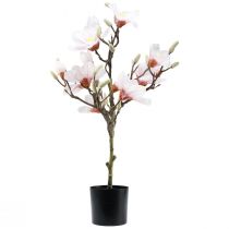 gjenstander Kunstig magnoliatre rosa 74 cm kunstig blomsterdekorasjon