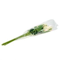 gjenstander Kunstige blomster rose krem Ø6cm L50cm 6stk