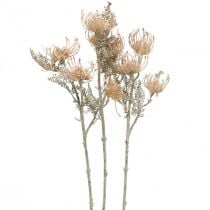 Kunstige blomster, Nåleputeblomst, Leucospermum, Proteaceae Vasket Hvit L58cm 3stk