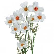 gjenstander Kunstige blomster Cosmea hvite silkeblomster H51cm 3stk