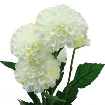 gjenstander Kunstige blomster dekorative georginer kunstig hvit 50cm