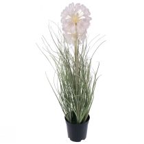 gjenstander Kunstige blomster dekorative ballblomst allium prydløk kunstig 54cm