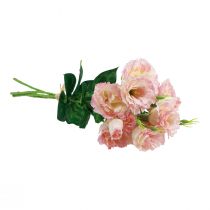 gjenstander Kunstige blomster Eustoma Lisianthus rosa krem 52cm 5 stk