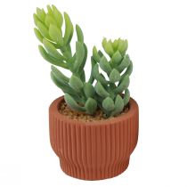 gjenstander Kunstige planter Sukkulent kaktus Kunstig grønn plante 14,5/15,5 cm 2 stk.