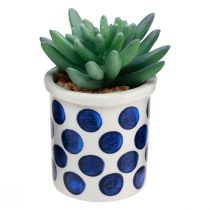 gjenstander Kunstige planter sukkulenter kunstig grønn plante 9-12,5cm 4stk