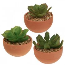 Kunstige planter i potter kunstige sukkulenter H9cm 3stk