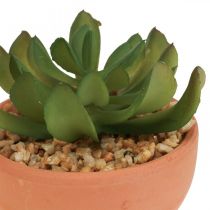 Kunstige planter i potter kunstige sukkulenter H9cm 3stk