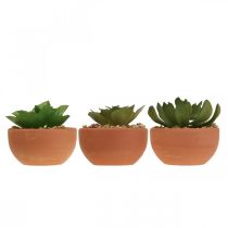 gjenstander Kunstige planter i potter kunstige sukkulenter H9cm 3stk