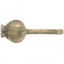 gjenstander Kunststein dekorasjon valmue antikk dekor brun Ø13cm L37,5cm