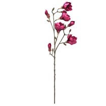 gjenstander Kunstig Magnolia-gren Kunstige Blomster Bordeaux L100cm