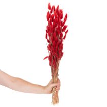 gjenstander Tørket Lagurus-bukett, tørket blomsterdekorasjon, 70 cm, 100 g