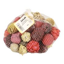 gjenstander Leucadendron kjegler Bellgum Grønn Rød Gul Frostet 300g