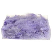 gjenstander Purple Feathers Fluffy Craft Supplies Spring 5-10cm 20g