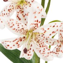 gjenstander Kunstig lilje som blomsterstilk for elegant og vedlikeholdsvennlig dekorasjon, 82 cm, 2 stk.