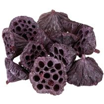 gjenstander Lotus kapsler, tørr blomster, lotus pære rosa, vasket hvit 50 stk.